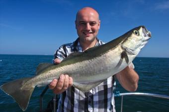 5 lb Pollock by Scott