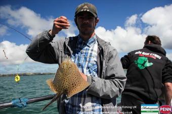 1 lb 8 oz Spotted Ray by Carl