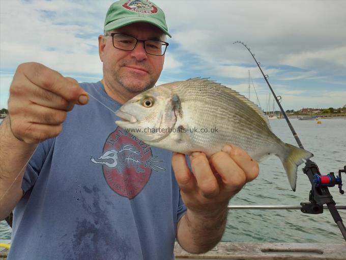 1 lb 12 oz Gilt-head Sea Bream by guilthead bream