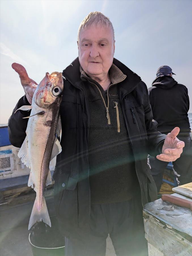 1 lb Haddock by Unknown