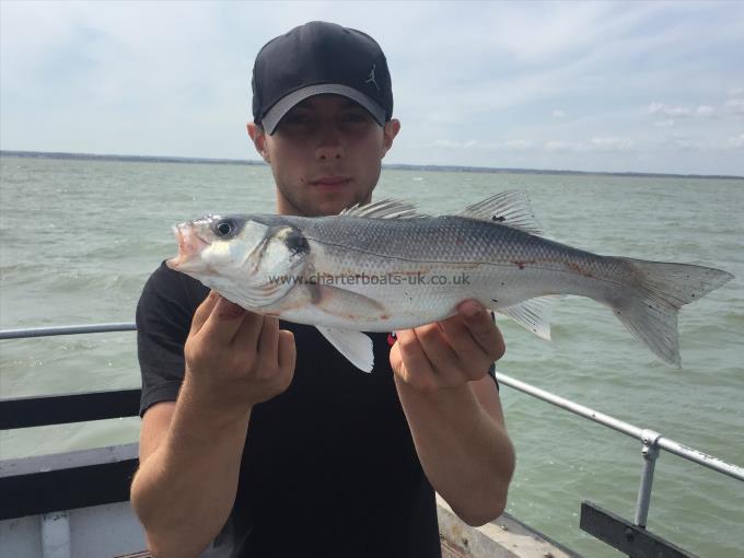 2 lb Bass by Dan from Ramsgate