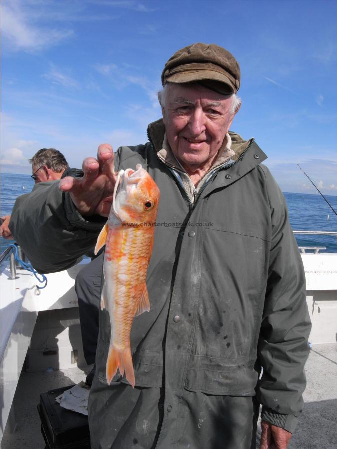 1 lb Red Mullet by Unknown