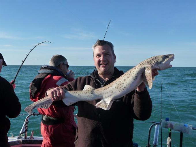 14 lb 10 oz Bull Huss by Dave Colcough