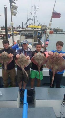 25 lb Common Skate by Jack, Jay, unknown, unknown