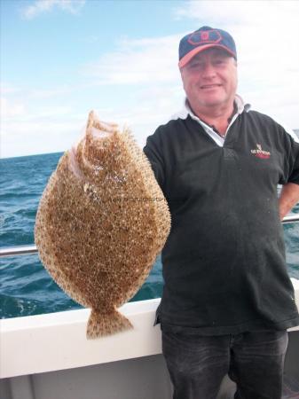 7 lb Brill by William