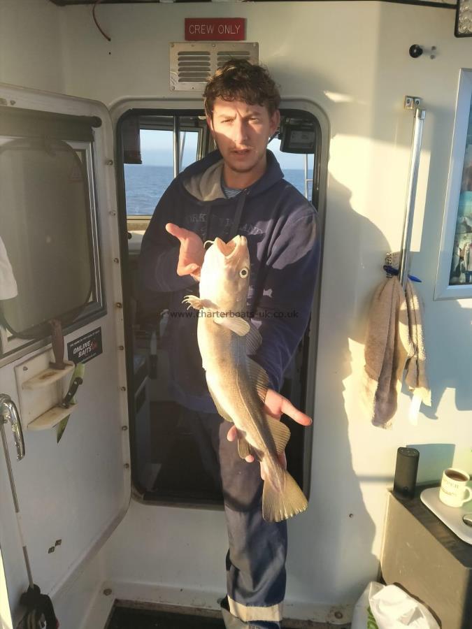 4 lb 5 oz Cod by Aron