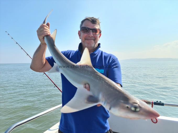 12 lb Smooth-hound (Common) by Mark Nixon