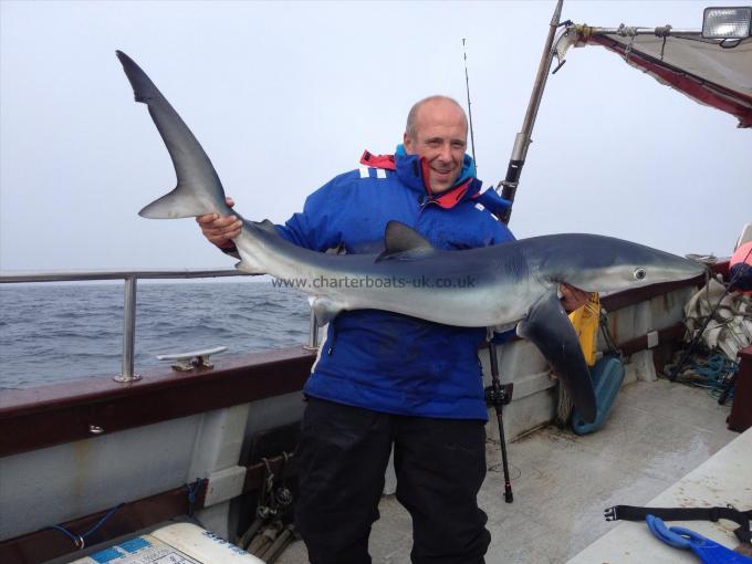 75 lb Blue Shark by T A