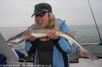 6 lb Starry Smooth-hound by Jen
