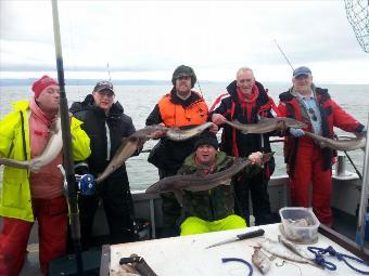 16 lb Spurdog by penygraig fishing club