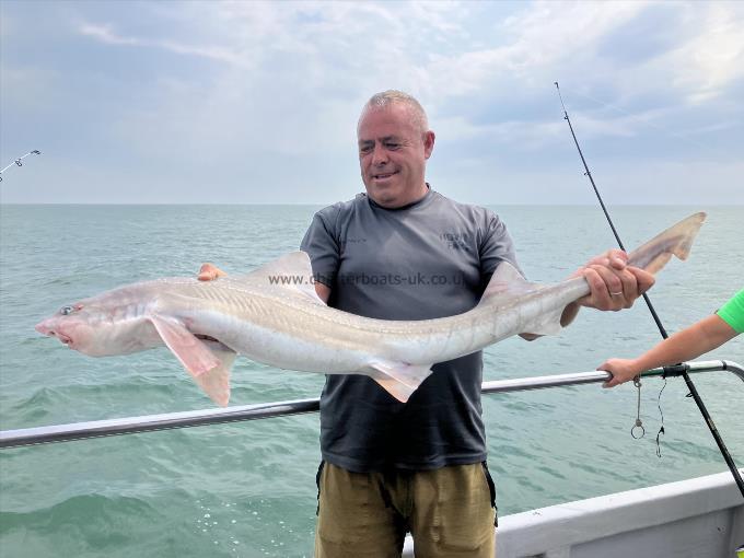 14 lb Smooth-hound by Unknown