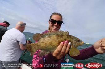 2 lb Ballan Wrasse by Sdeff