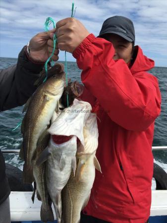 7 lb Cod by chinese lads from scarboro 8th june 2015