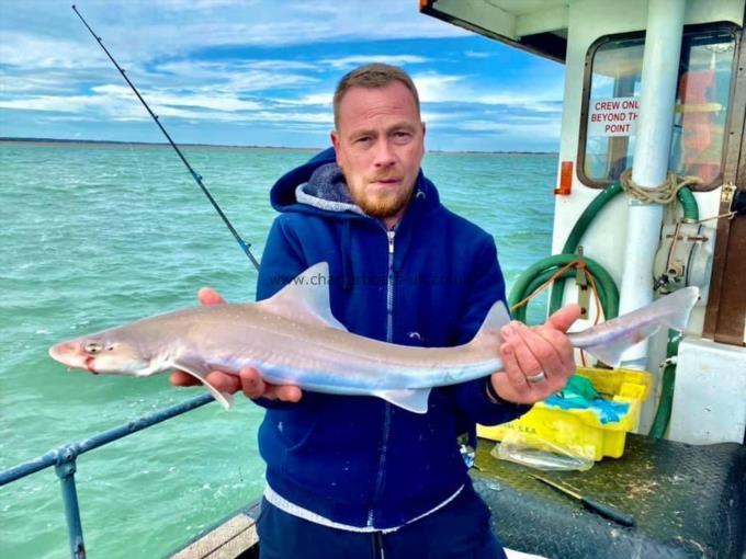 5 lb Smooth-hound by Unknown