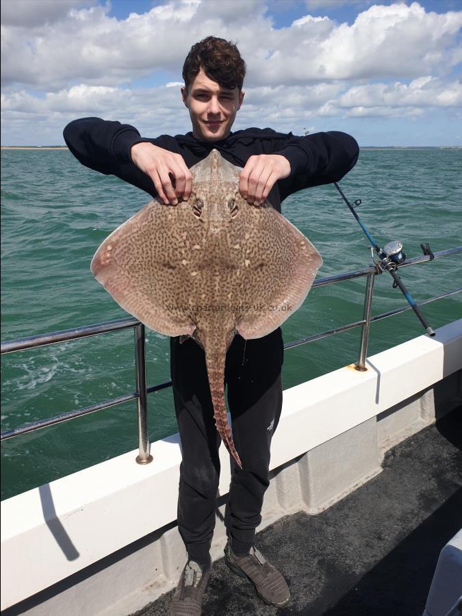 10 lb 12 oz Thornback Ray by Bob Marshall
