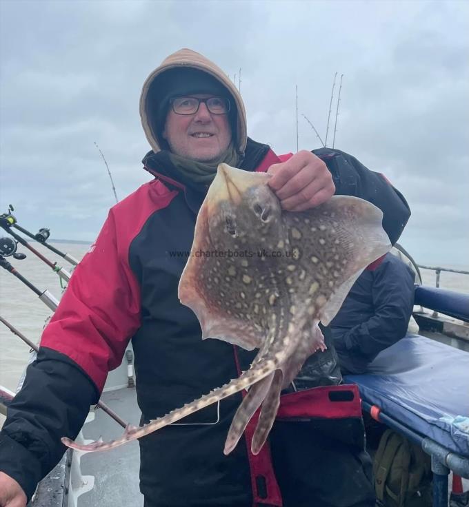 5 lb Thornback Ray by Unknown