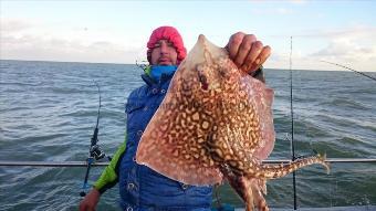 7 lb 5 oz Thornback Ray by Jason from westgate