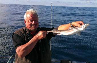 3 lb Spurdog by Andy Truelove