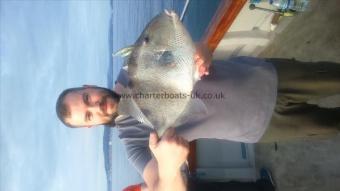 4 lb 10 oz Trigger Fish by Unknown
