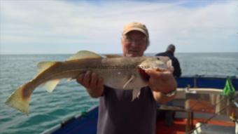 10 lb Cod by Stephen Wake