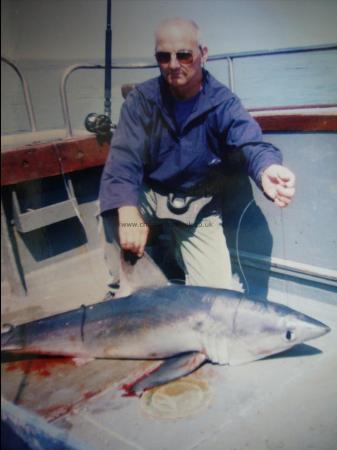 90 lb Porbeagle by Unknown