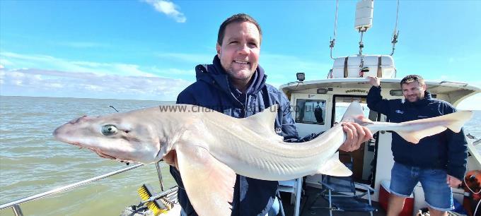 14 lb 6 oz Starry Smooth-hound by Unknown