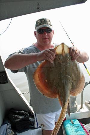 15 lb Blonde Ray by Gregg Fright