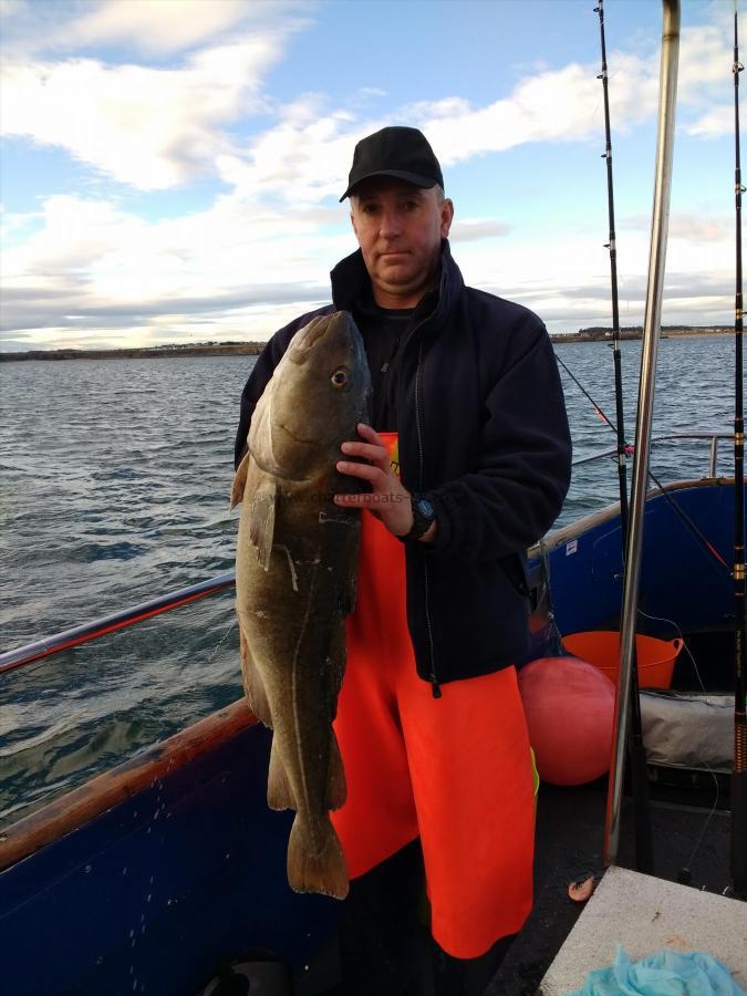 16 lb 8 oz Cod by Peter Mackintosh