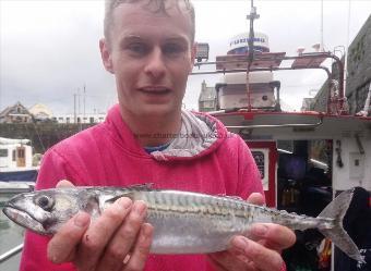 1 lb 13 oz Mackerel by Bob