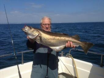 11 lb 10 oz Pollock by Sam