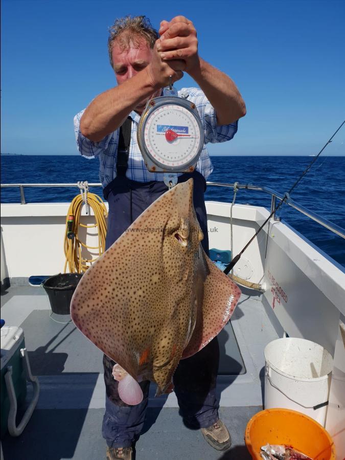 20 lb Blonde Ray by Colin Hollamby