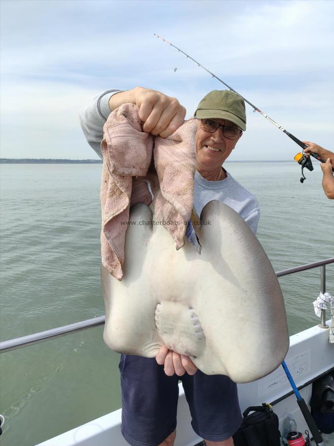 20 lb Stingray (Common) by Ken