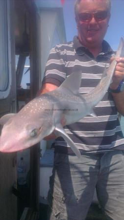 9 lb 2 oz Starry Smooth-hound by craig from sevenoaks