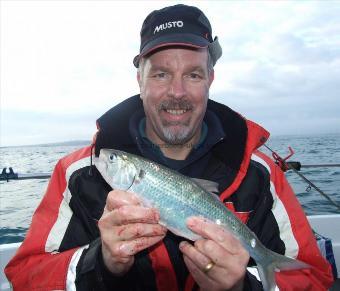 1 lb 8 oz Allis Shad by John Hinton