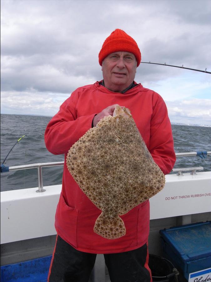 4 lb Turbot by Unknown