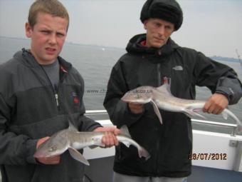 5 lb Smooth-hound by Unknown