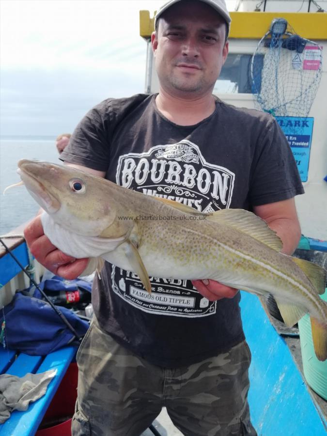 7 lb 5 oz Cod by Unknown