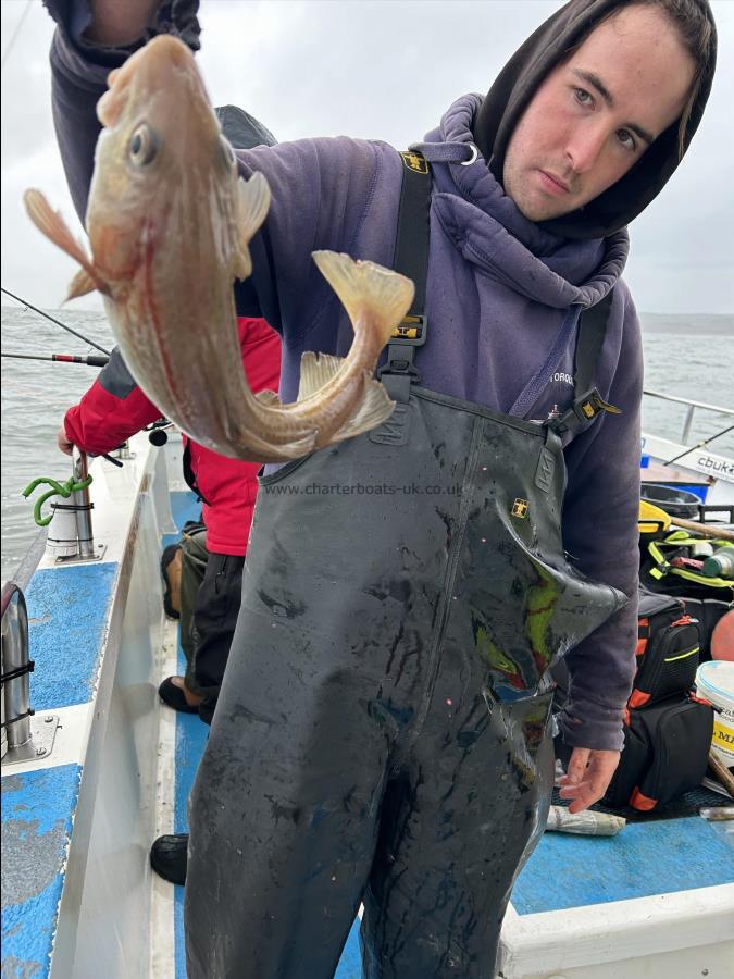 3 lb 5 oz Cod by Fergus.