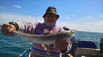 7 lb Smooth-hound by Stephen Wake