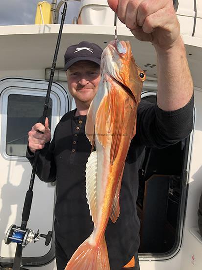 4 lb 12 oz Tub Gurnard by Ray Crowe