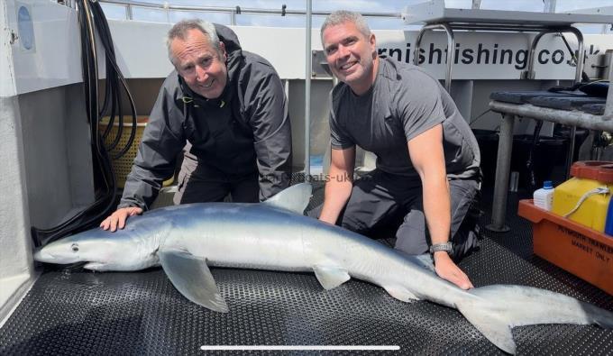 70 lb Blue Shark by Scott Knapp