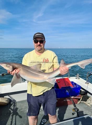 19 lb Smooth-hound (Common) by Steven Hayes