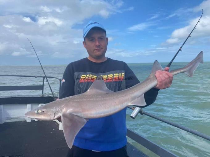 11 lb Smooth-hound by Unknown