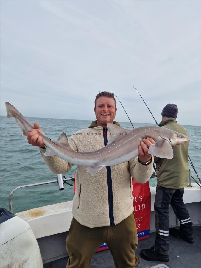 15 lb Starry Smooth-hound by Wayne