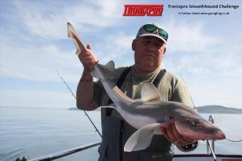 11 lb Starry Smooth-hound by Rob