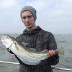 2 lb 15 oz Whiting by jon draine