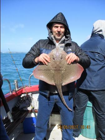 6 lb Thornback Ray by Unknown