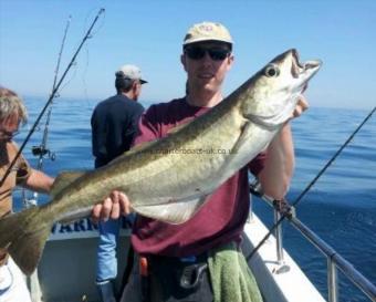 14 lb Pollock by Phil Pepper