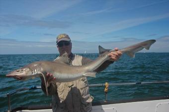 22 lb Starry Smooth-hound by Peter