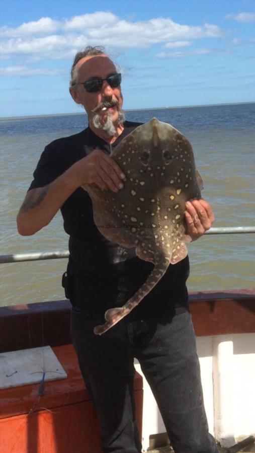 8 lb 2 oz Thornback Ray by Mick